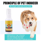 Pet Training Spray Set Of 3