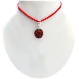 Original  5 Mukhi Rudraksha (Nepal Origin)