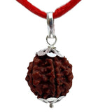 Original  5 Mukhi Rudraksha (Nepal Origin)