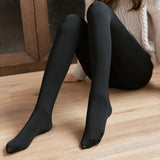 Flawless Legs Fake Translucent Warm Plush Lined Elastic Tights