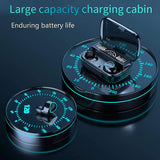 Earbuds With Power Bank (5000 MAH)