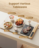 Foldable Electric Food Warmer Tray, Adjustable Temperature Control, for Parties and Buffets